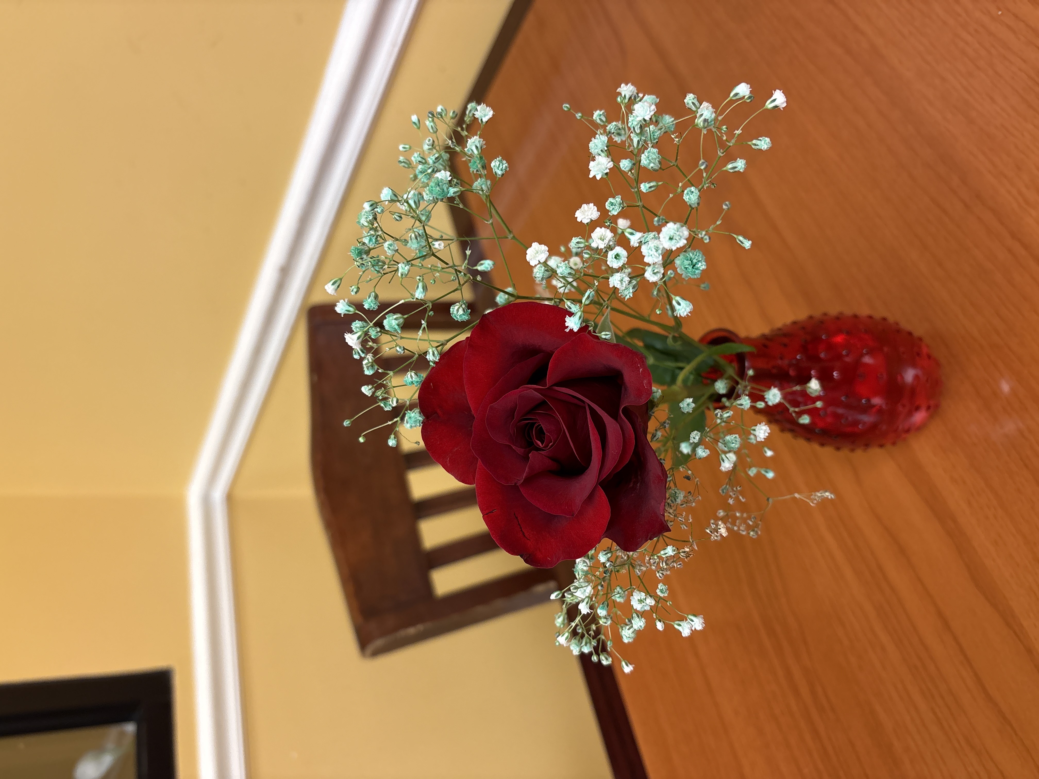 A red rose and baby's breath in a vase inside the restaurant